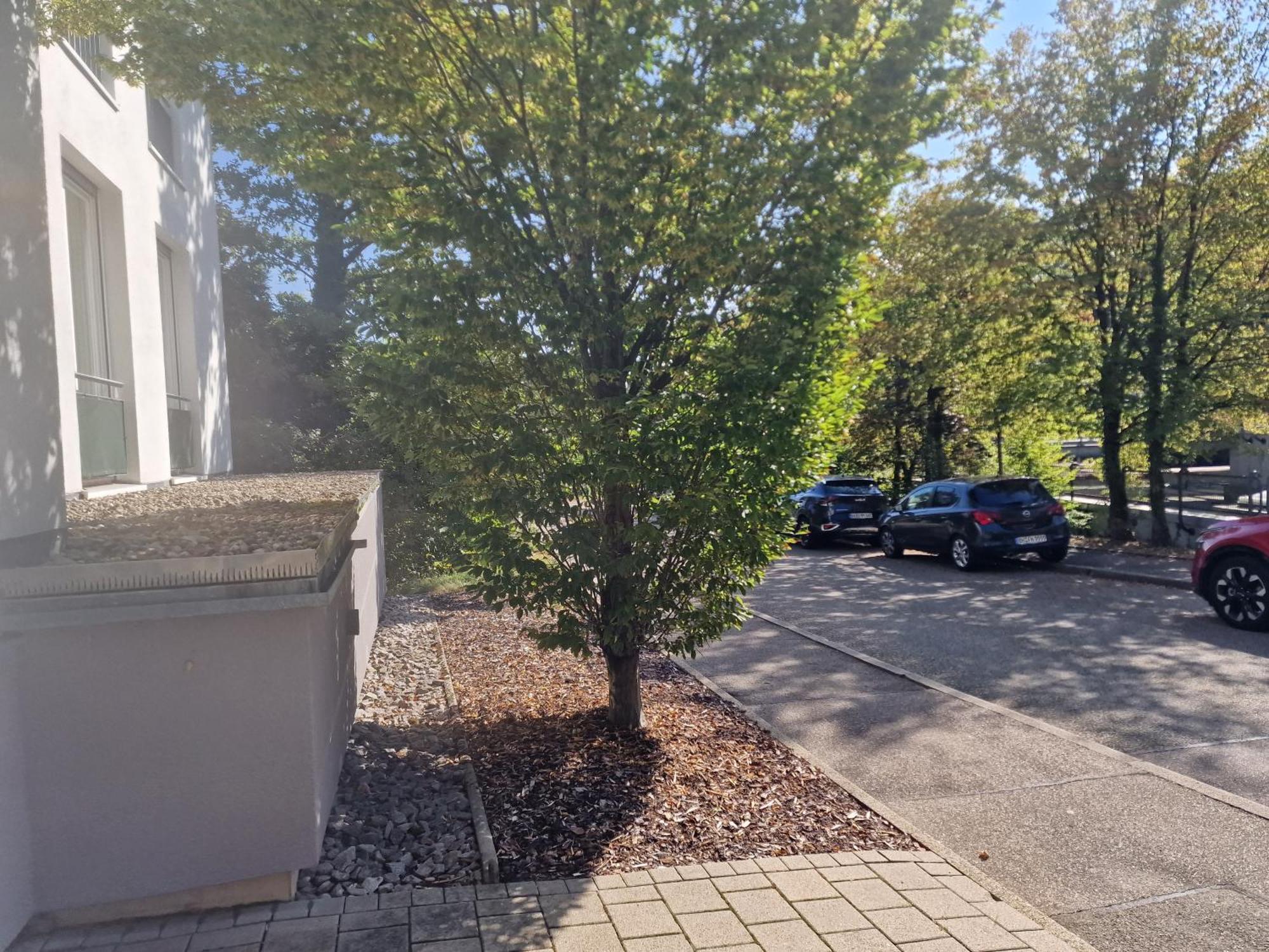 Sewer Apartment Baden-Baden Exterior photo